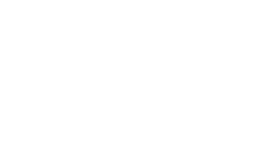 Wirtek logo white Wirtek logo white